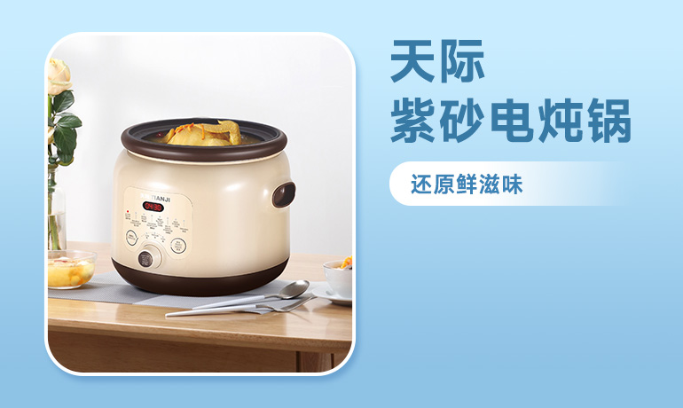 Tianji 天际 电炖锅DGD40-40SED 煲汤锅炖汤锅 紫砂内胆智能预约可定时 4L 